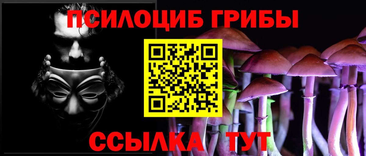 Елец  Псилоцибиновые грибы MAGIC MUSHROOMS  Псилоцибиновые грибы Psilocybine cubensis  Вход с VPN 